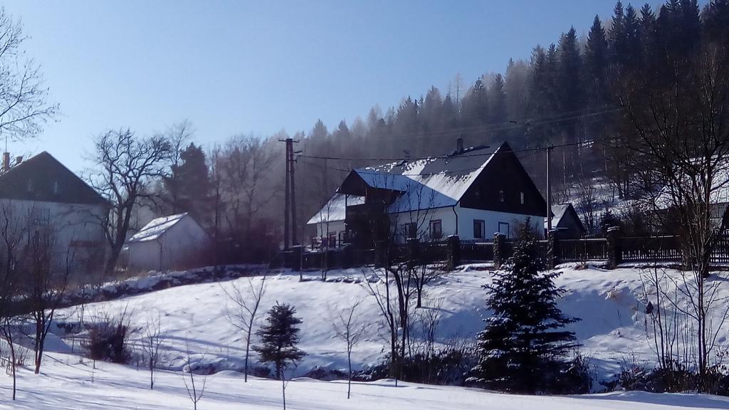 Penzion Edelstejn Petrovice  Zewnętrze zdjęcie