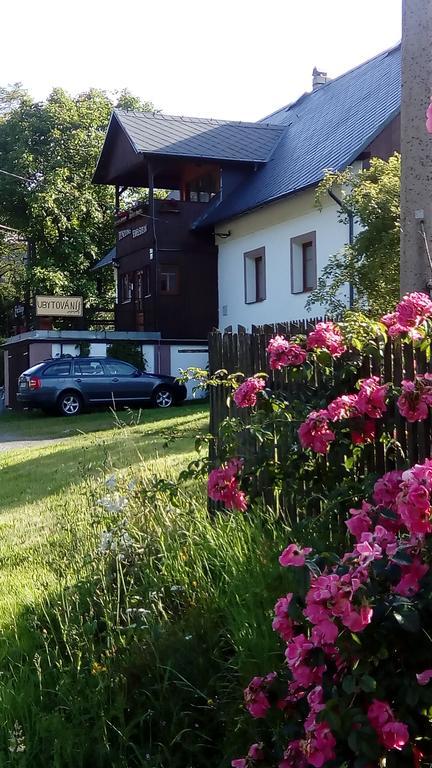 Penzion Edelstejn Petrovice  Zewnętrze zdjęcie